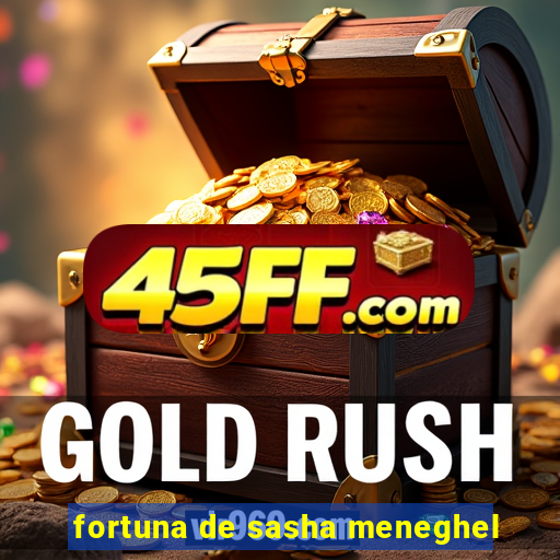 fortuna de sasha meneghel
